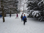 IMG_20190108_143339