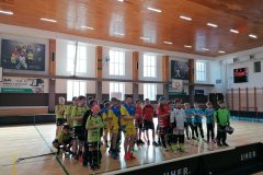 okres. finále ve florbale ml.ž. 4-22