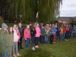DSC_0367
