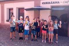 parlament - zmrzka 6-24