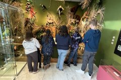 Planetárium Brno 11-24