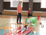 IMG_5856