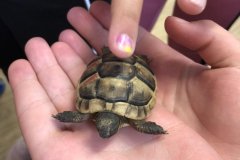 Prázdninová družina 8-23