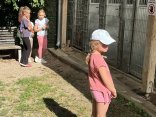 IMG_0886