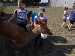 IMG_20180830_102946