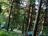 IMG_20250625_054139