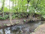 IMG_0417