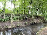 IMG_0419