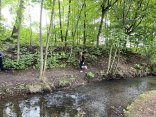 IMG_0420