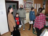 IMG_8441
