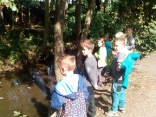 IMG_20150922_143307