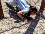 IMG_20260427_142949
