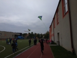 IMG_20191008_134625