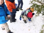 IMG_20260123_135328