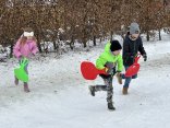 IMG_4509