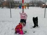 IMG_20170112_144402