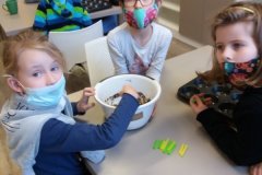 ŠD - péče o ptáčky 2-21