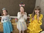 5IMG_6520