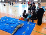 IMG_20250305_142249