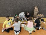 IMG_6505