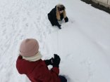 IMG-20260114-WA0021