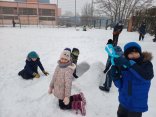 IMG_20260114_135341042_MP