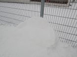 IMG_20260114_144812780_MP