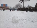 IMG_20260114_144835249_MP