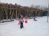 IMG_20260114_144858923_MP