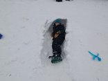 IMG_20260114_145003786_MP