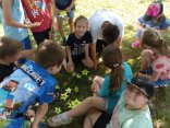 IMG_20230626_142748