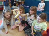 IMG_20240408_125006-2