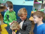 IMG_20240408_130206