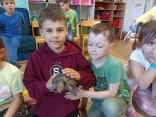 IMG_20240408_130435