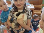 IMG_20240408_131011
