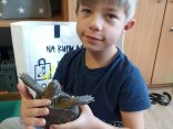 IMG_20240408_131549