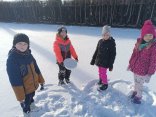 IMG_20250113_141215