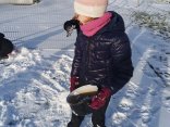 IMG_20250113_141240