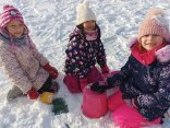 IMG_20250113_141958