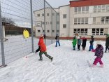 IMG_20250113_145619