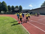 image_50444289
