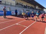 image_50737409