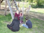 IMG_0095