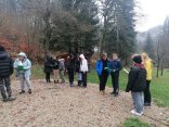 IMG_20231121_092327