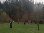 IMG_20231121_093727