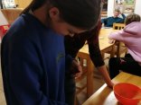 IMG_20231121_165056