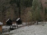 IMG_20231122_115136