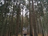 IMG_20231123_094303