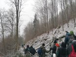 IMG_20231123_113533