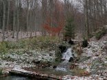 IMG_20231123_122051